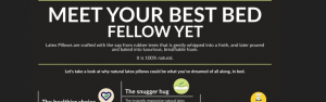 Infographic Thumbnail - Meet Your Best Bed Fellow Yet