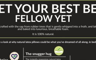 Infographic Thumbnail - Meet Your Best Bed Fellow Yet