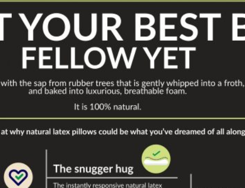 Infographic: Meet Your Best Bed Fellow Yet!