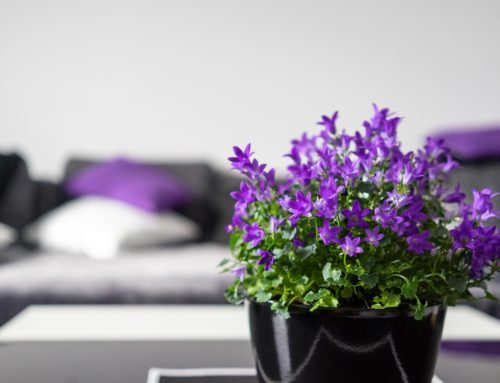 Bring on the Ultra Violet! – How to dress your home up in the Pantone Colour of the Year